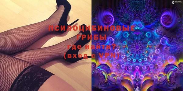 гашик Иннополис