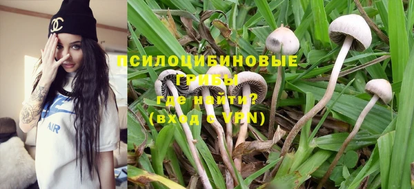 героин Инсар