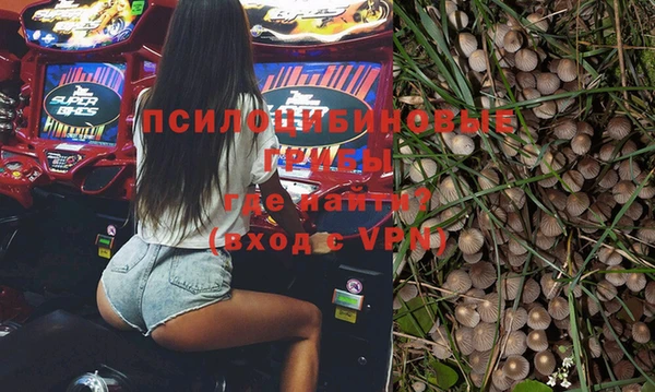 гашик Иннополис