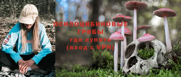 метамфетамин Инта