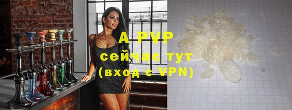 гашик Иннополис