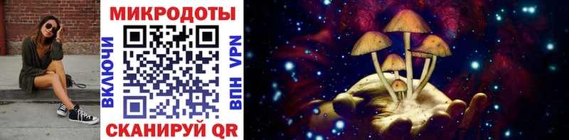 Купить Большой Камень Псилоцибиновые грибы GOLDEN TEACHER
